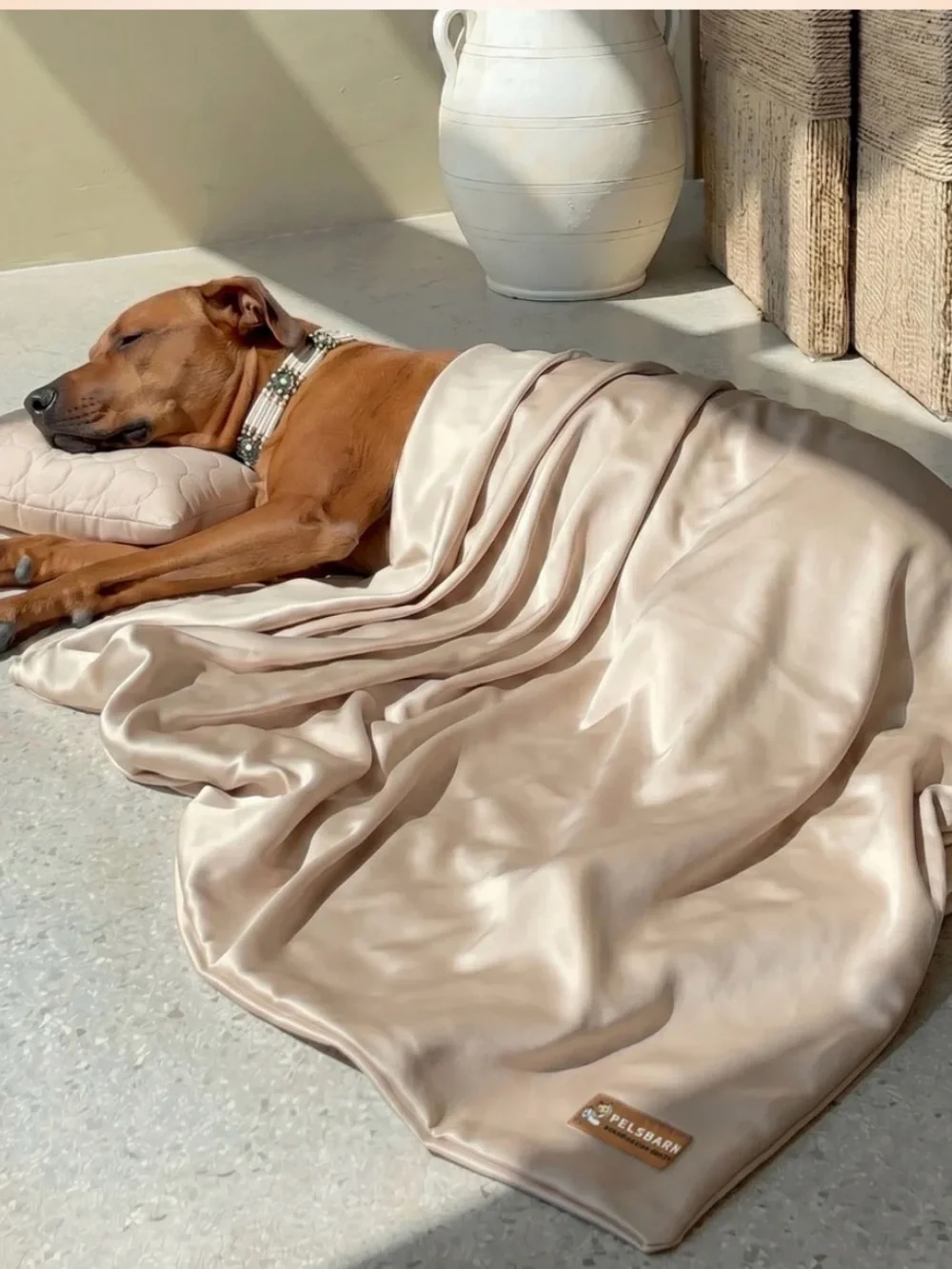 Ice Silk Cooling Pillow and Sheet Set in Beige